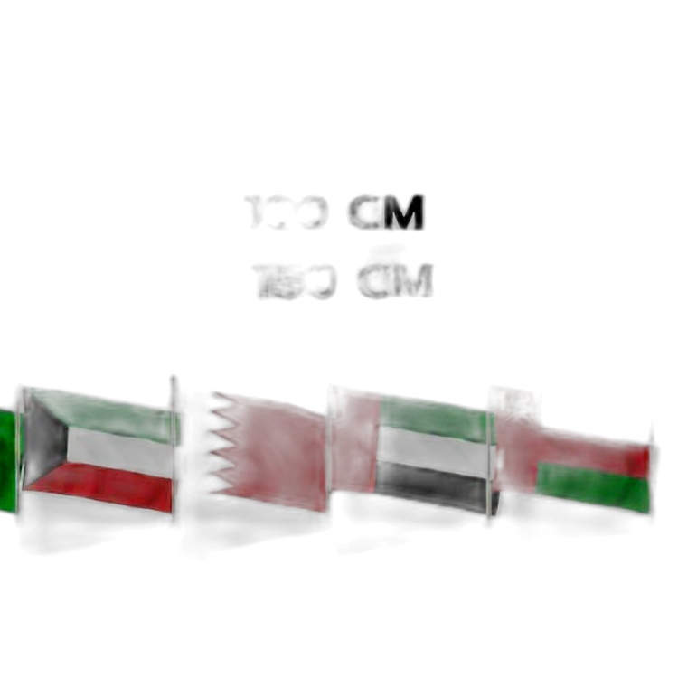 طقم أعلام دول مجلس التعاون الخليجي خارجي مقاس 100X150 سم